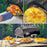 Black Pizza Oven Outdoor 12" Automatic Rotatable Pizza Ovens Portable Stainless Steel Wood Fired Pizza Oven Pizza Maker