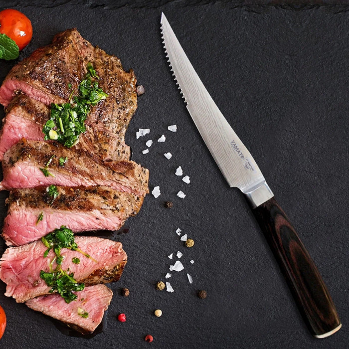 Steak Dinner Knife  Stainless Steel Serrated Knife Beef Restaurant Cutlery Table Knife Party Tool